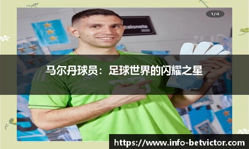 马尔丹球员：足球世界的闪耀之星